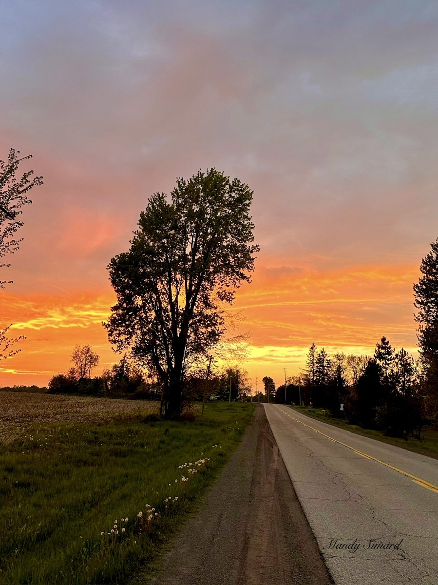 Mandy Simard tweet media