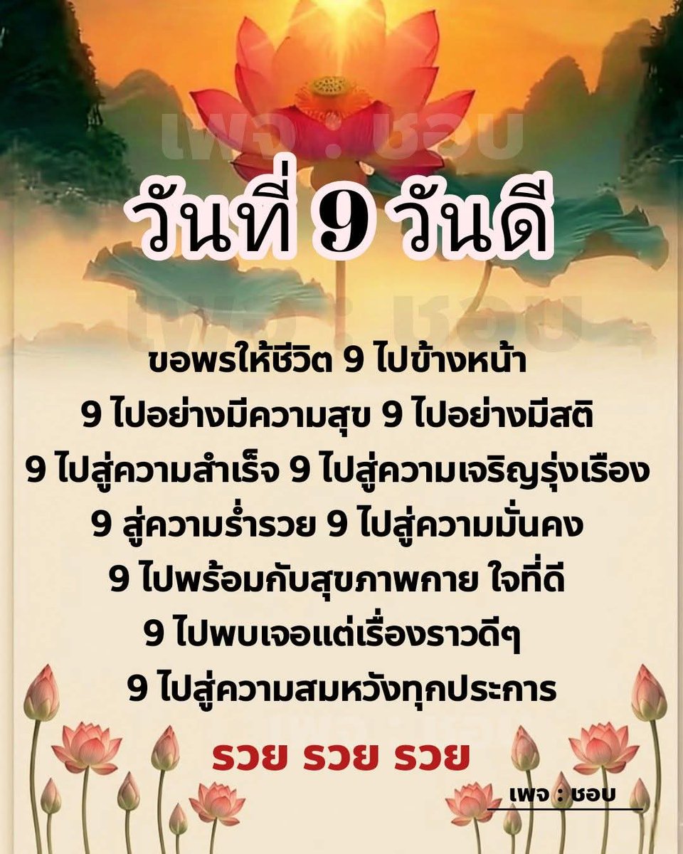 Hana Kim tweet media