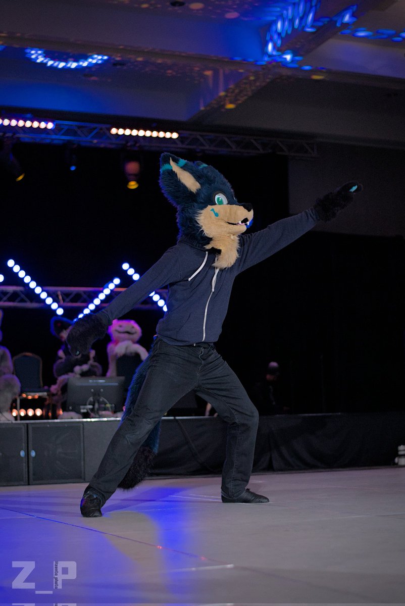 Zento 🔜 Furcamp tweet media