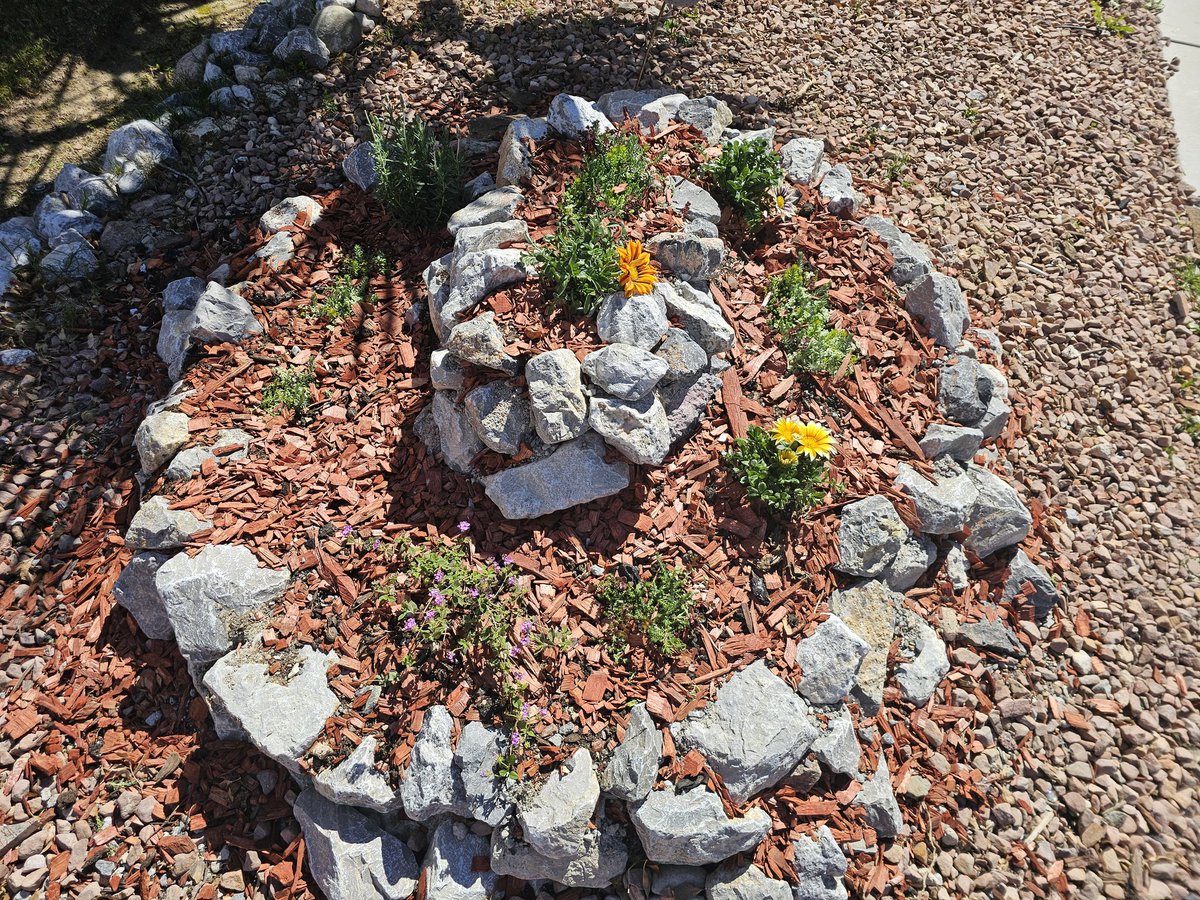 dannyoneofmany's tweet photo. #WeekendVibes #Gardening
#DIY #OutsideFun #Flowers
Rock Spiral With #Flowers
We Need Some Gnomes Too
#SpringForward #SpringFever https://t.co/UvKt35OXLo