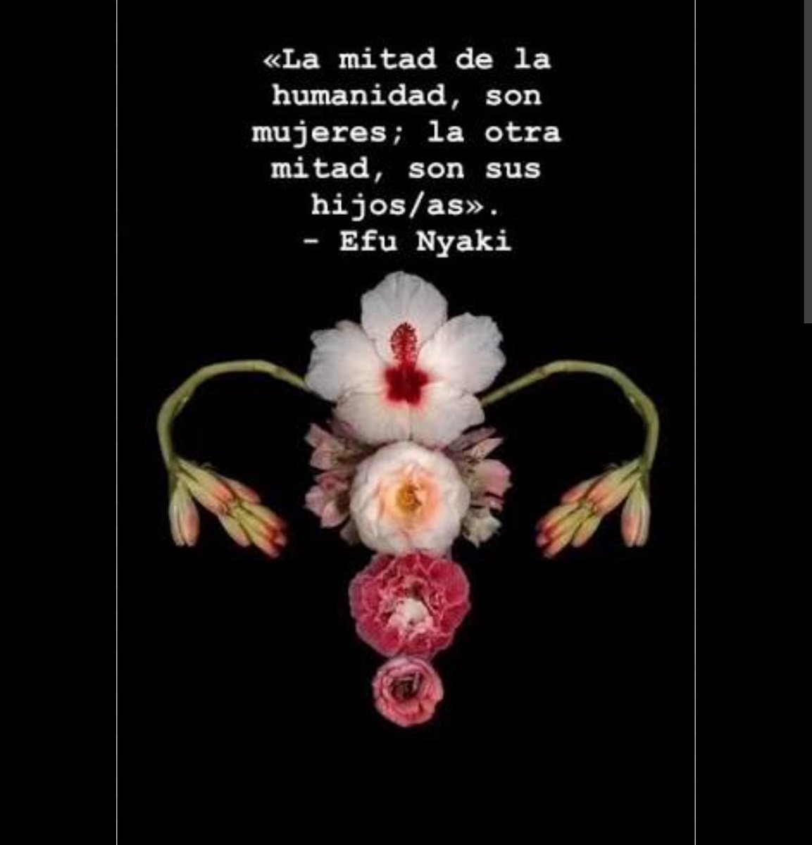 50_montevideana's tweet photo. @profepineyrua @robertmoreactor https://t.co/Y3JfMA5zSG