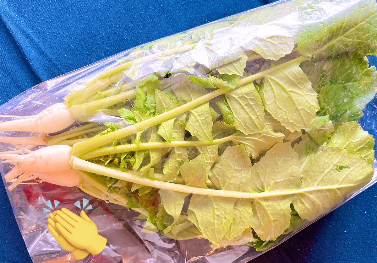 himari_una's tweet photo. おはひまです🌻

野菜自販機に大根菜を見つけたので
ひまりのおやつに買ってきました🌿
ミニ大根の足がかわいい😂

 #ひまり日記 https://t.co/0u3URe1bzB