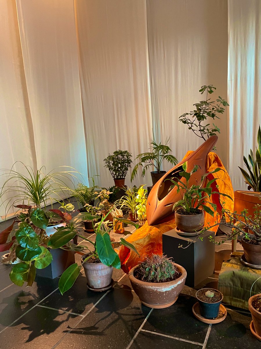 Kev Cuev tweet media