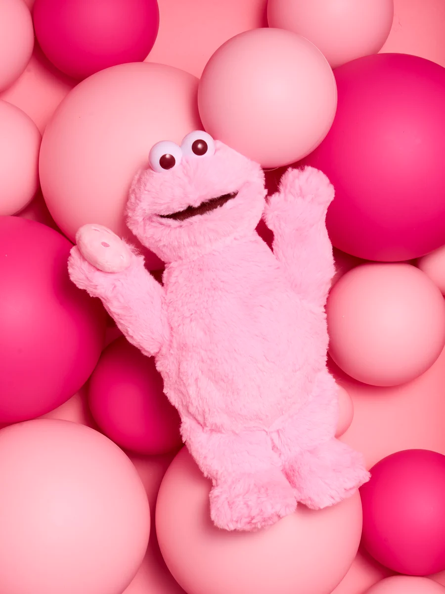 SESAME STREET MARKET／セサミストリートマーケット on X: 