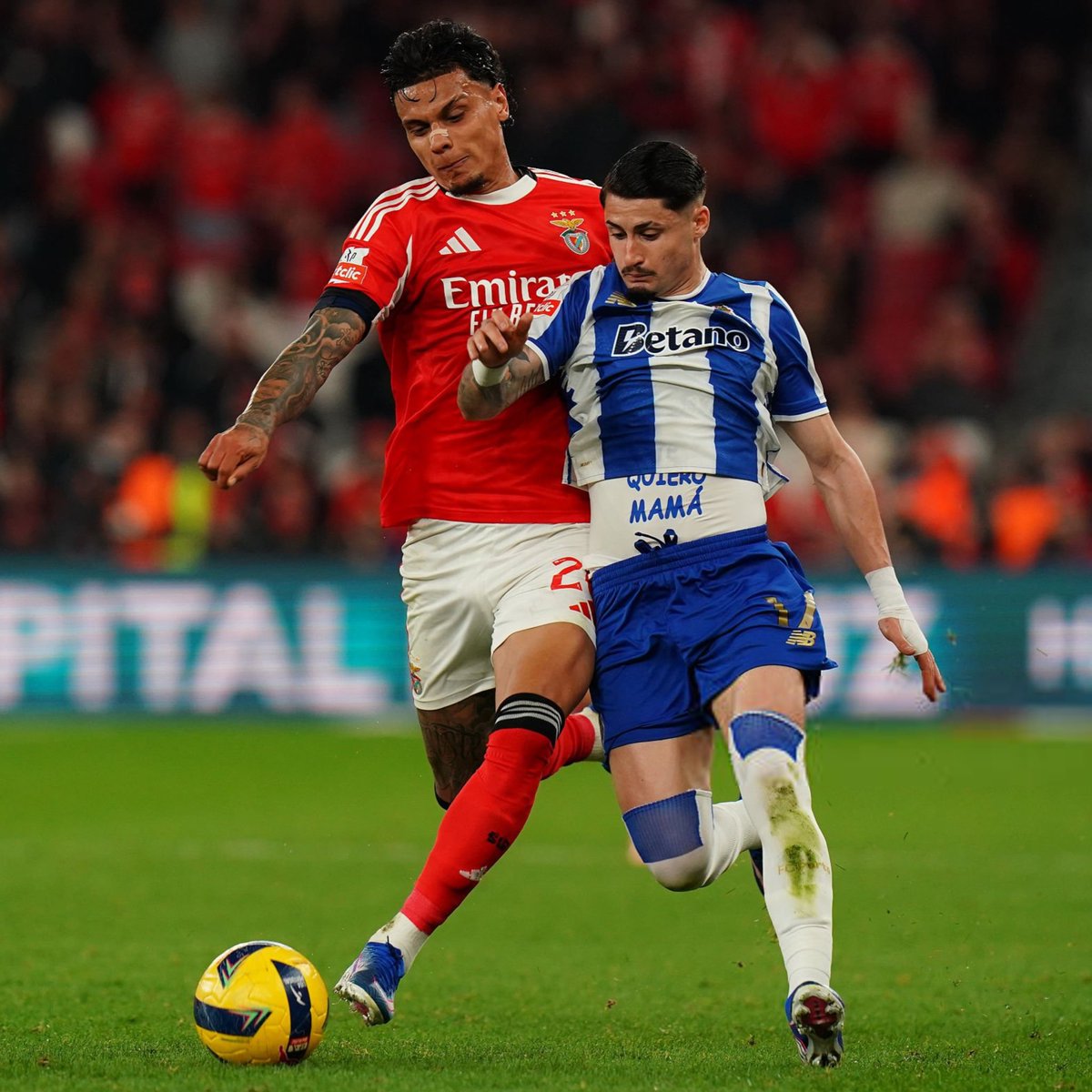 PLUS Benfica tweet media