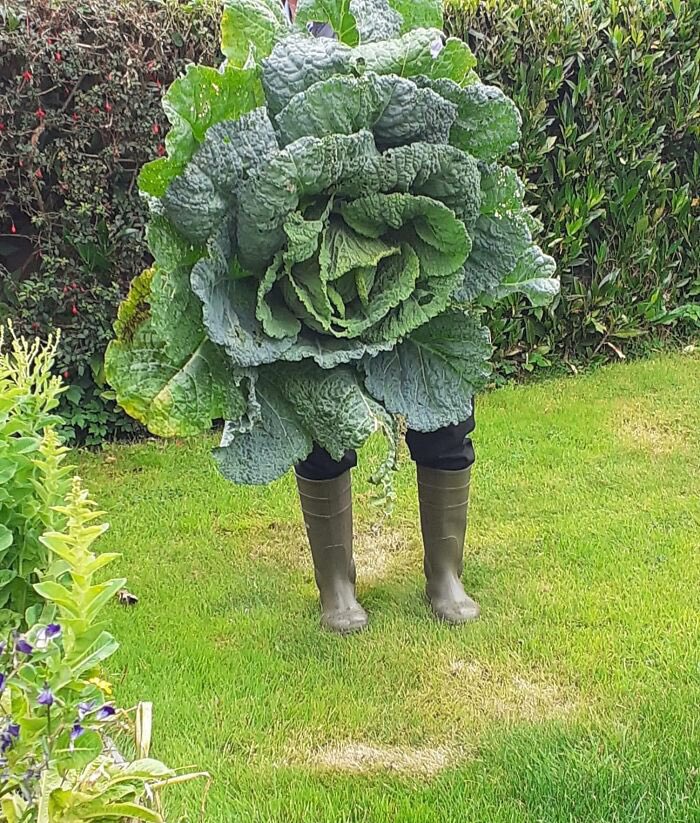 AgathaChocolats's tweet image. In six words or fewer, write a story about this photo.
#sixwordstory #WritingCommunity