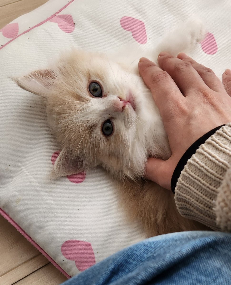 可愛いぃぃぃ～～😭😭😭💕 