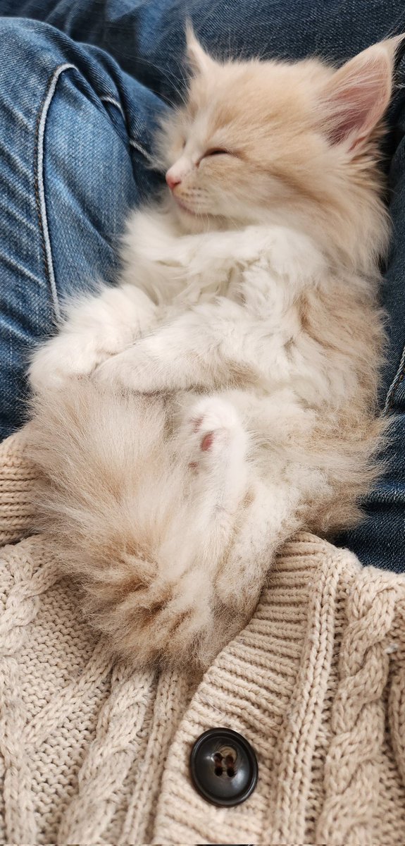 可愛いぃぃぃ～～😭😭😭💕 