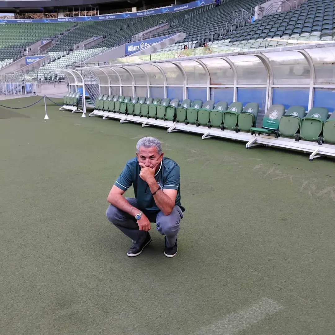 Zancheta tweet media