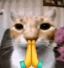 maki ✰ tweet media