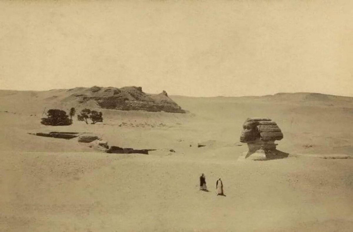 Brian Roemmele tweet media