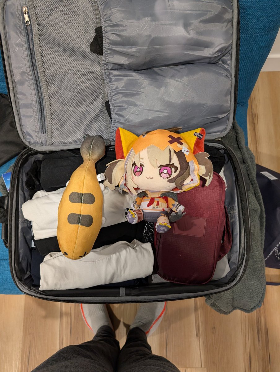 Toxicfox39's tweet photo. Gigi and the grem wanted to join the trip to Thailand, sadly I don't have enough space 🥹🧡 https://t.co/n9QApcUY2E