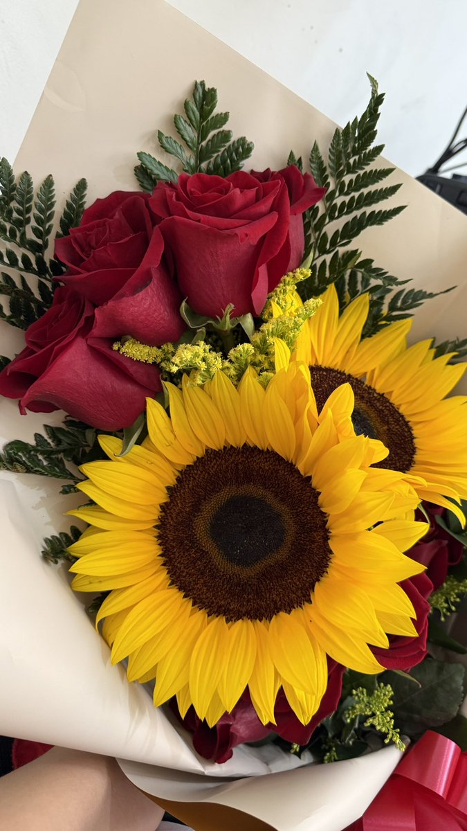 ____jnst's tweet photo. Mis flores de este 2026 hasta el momento…solo por existir, no por insistir y la tarjeta de cada una de ellas🥹❤️ https://t.co/k9QcYmK7sb