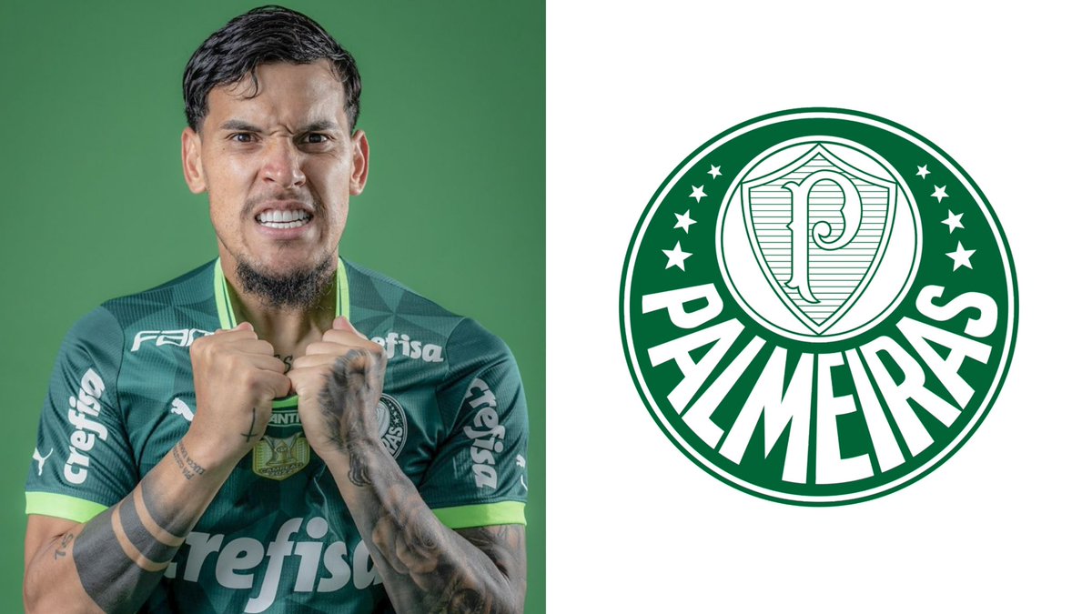 Gustavo Gómez se tornou o único atleta da história a conquistar 13 títulos com a camisa do Palmeiras.

Ele superou Ademir da Guia, Dudu (atacante), Junqueira, Marcos Rocha, Mayke e Weverton, que pararam com 12 conquistas.

O paraguaio é um dos maiores ídolos da história do