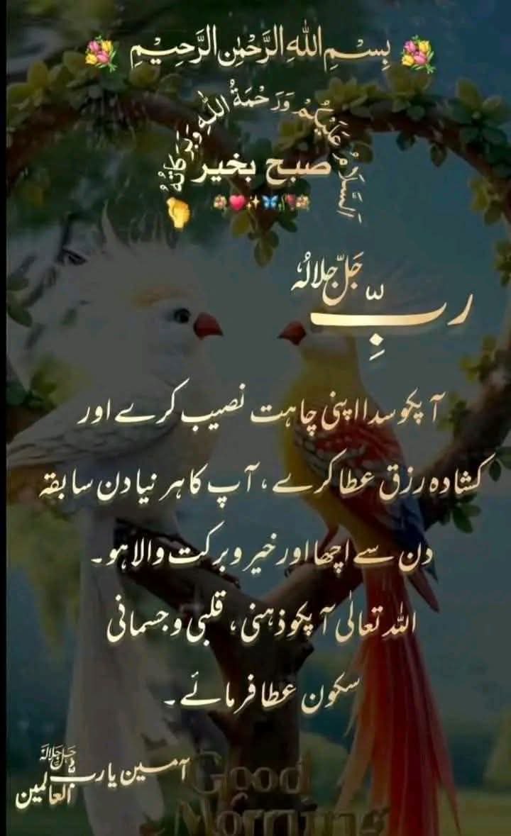 𝐌𝐮𝐡𝐚𝐦𝐦𝐚𝐝 𝐃𝐚𝐧𝐢𝐚𝐥 tweet media
