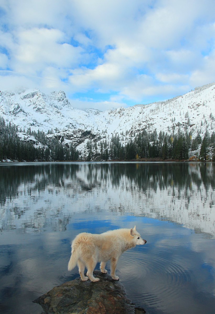 Enter The Lake Tahoe Gallery  
sean-sarsfield.pixels.com
Metal Prints  Canvas Wraps  Puzzles  
Sweatshirts  Tote Bags  Towels  
Phone Cases  Yoga Mats  TShirts  
#Nature #Wolves #Dogs #Sierra #Hiking #Photography #Soul #Travel #Painting #Portraits #Craft #Art #WaterProtector