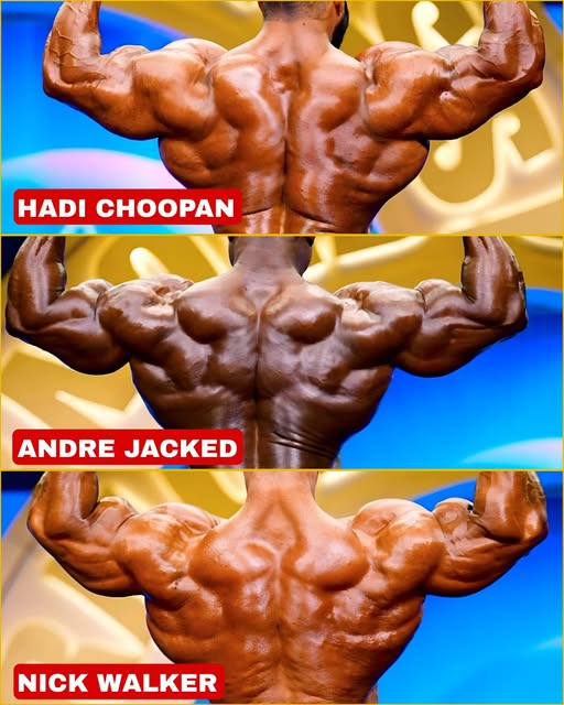 Muscles Anarchy tweet media