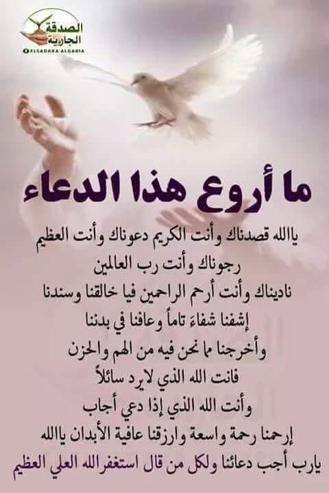 وليد صادق tweet media