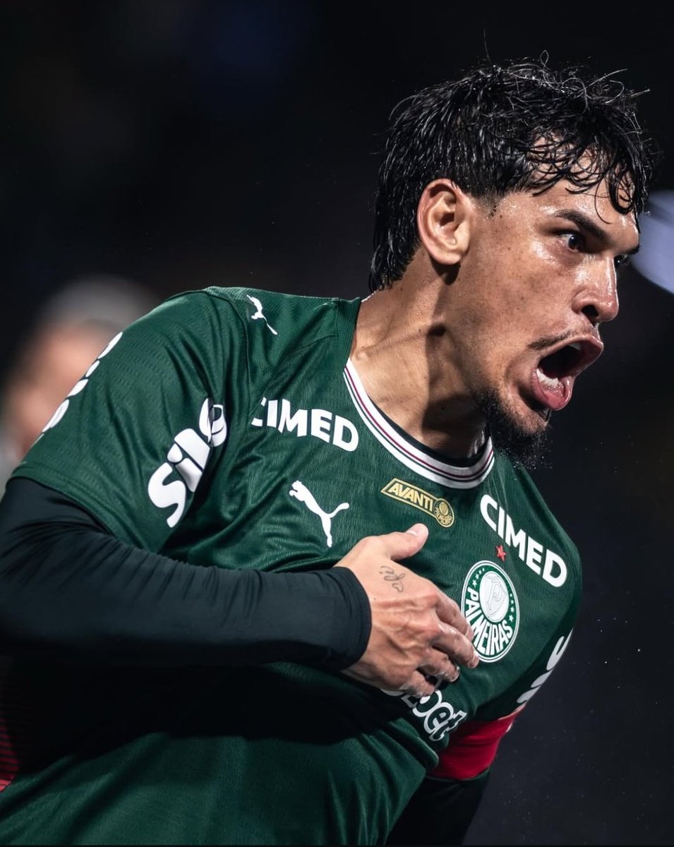 Planeta do Palmeiras 🌎 tweet media