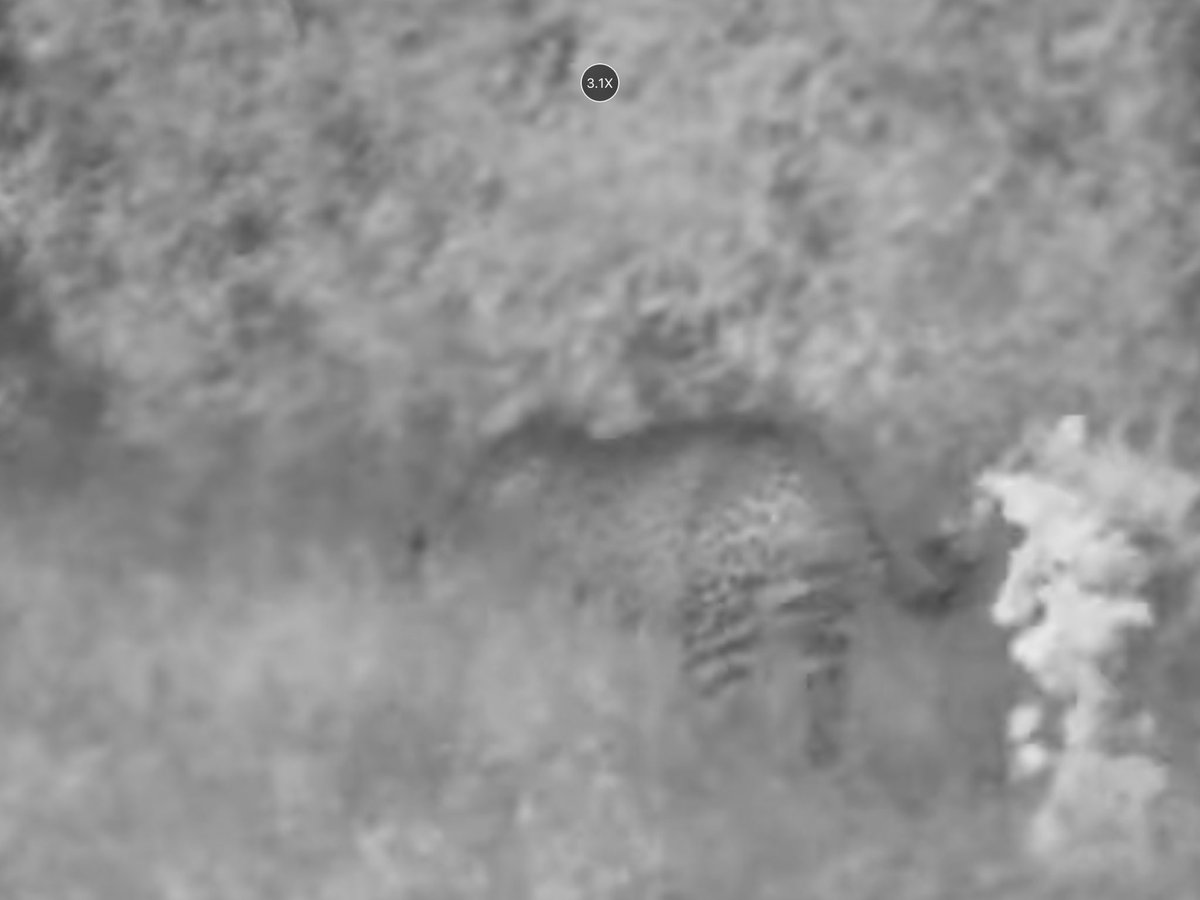 Michael Fleetwood tweet media