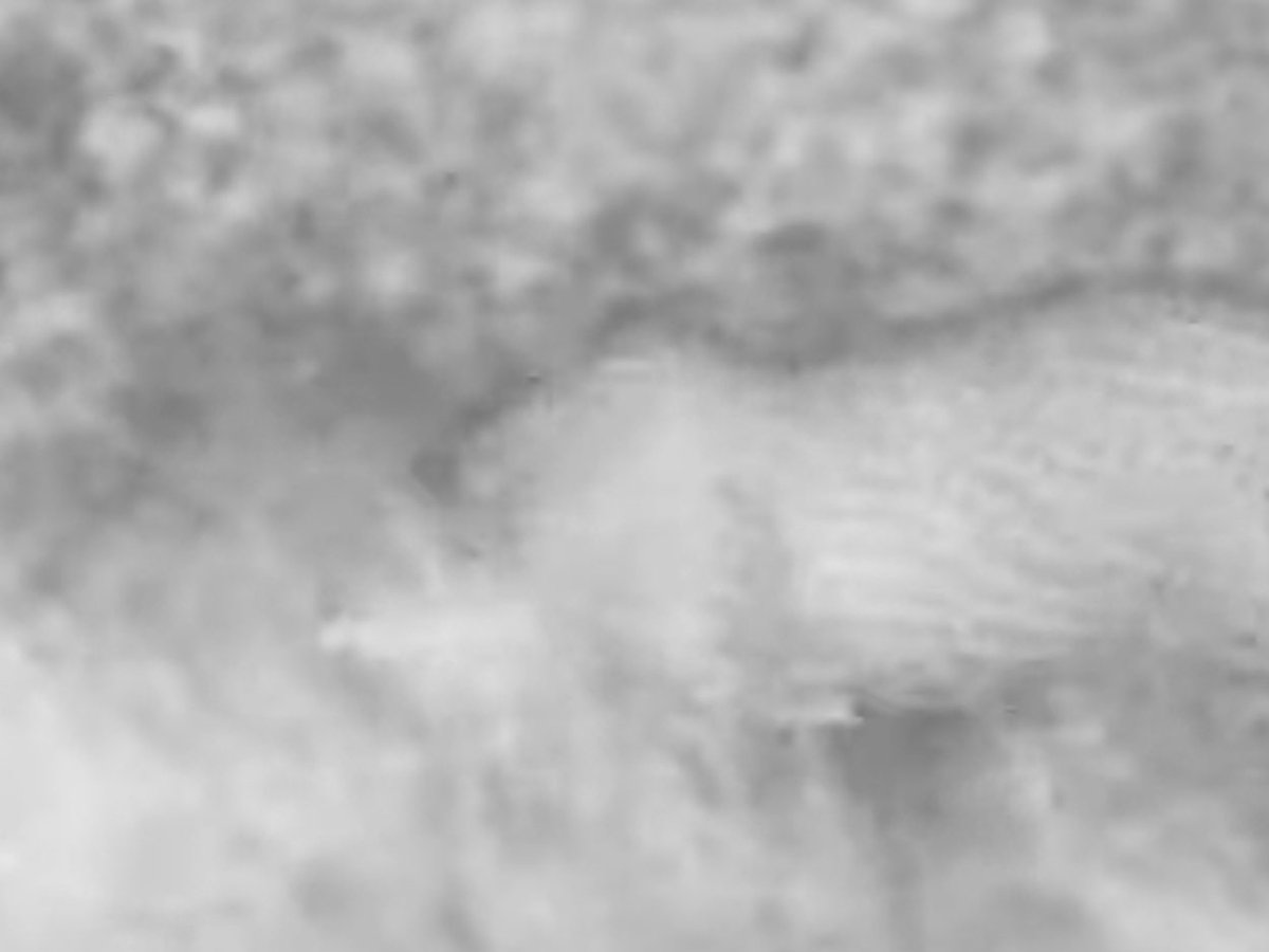 Michael Fleetwood tweet media