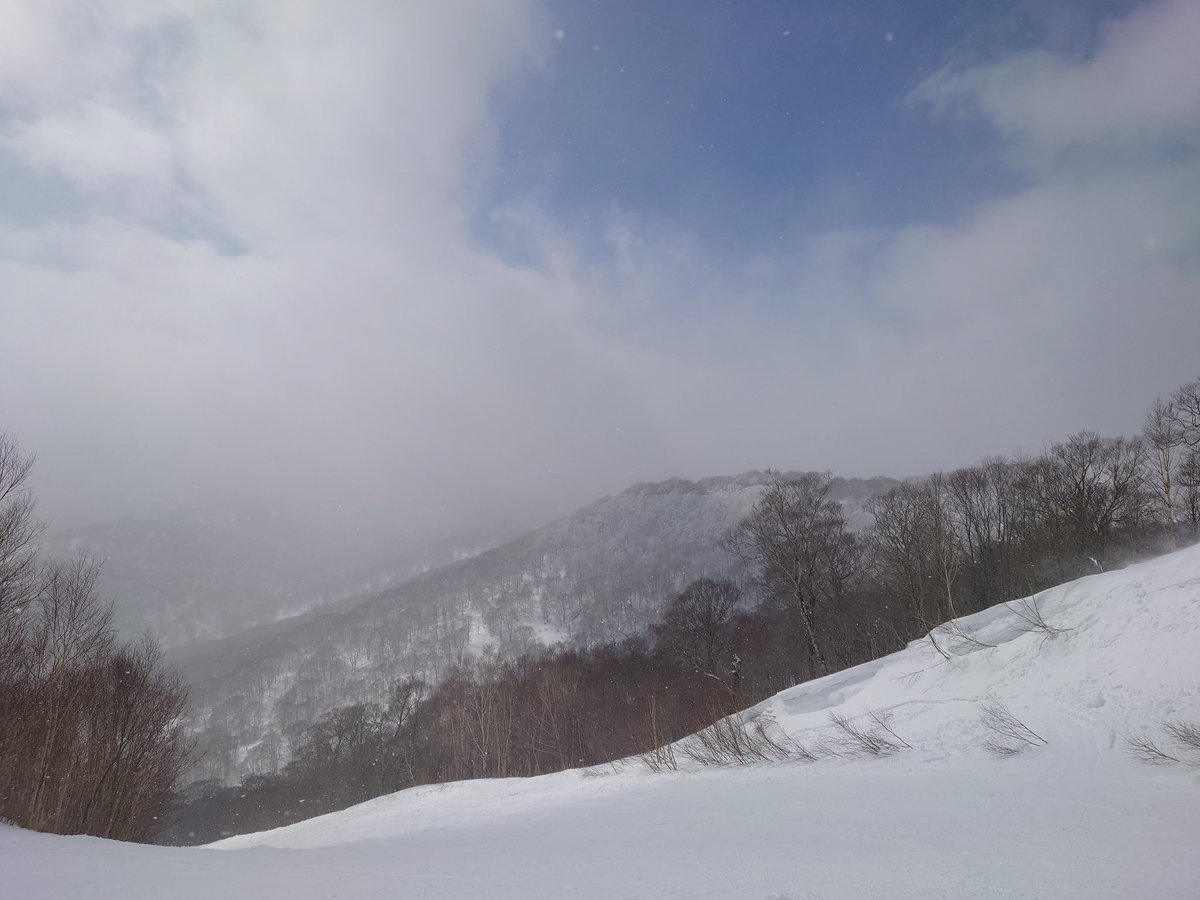 farm1028's tweet photo. 尾瀬岩鞍スキー場  （昨日）

春スキーのつもりで来たら気温低くて最後まで明るいのに良い雪がパラパラ振ってる不思議な天気のおかげで上部と西山はハイシーズン並みの雪。
最後下部に降りてきたらザクザク雪になってて雪質が違いすぎてびっくりした。 https://t.co/fl1jq8M0io