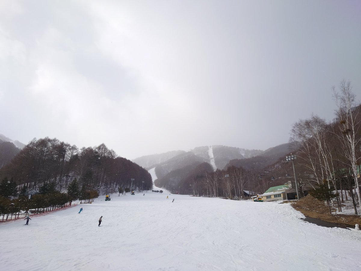 farm1028's tweet photo. 尾瀬岩鞍スキー場  （昨日）

春スキーのつもりで来たら気温低くて最後まで明るいのに良い雪がパラパラ振ってる不思議な天気のおかげで上部と西山はハイシーズン並みの雪。
最後下部に降りてきたらザクザク雪になってて雪質が違いすぎてびっくりした。 https://t.co/fl1jq8M0io