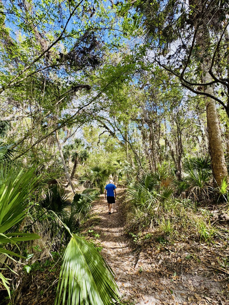 dolbyl's tweet image. Sunday vibes… #optoutside #getoutside #nature #NaturePhotography #lovefl #hikefl #hikeflorida #floridatrails #trailslikethese