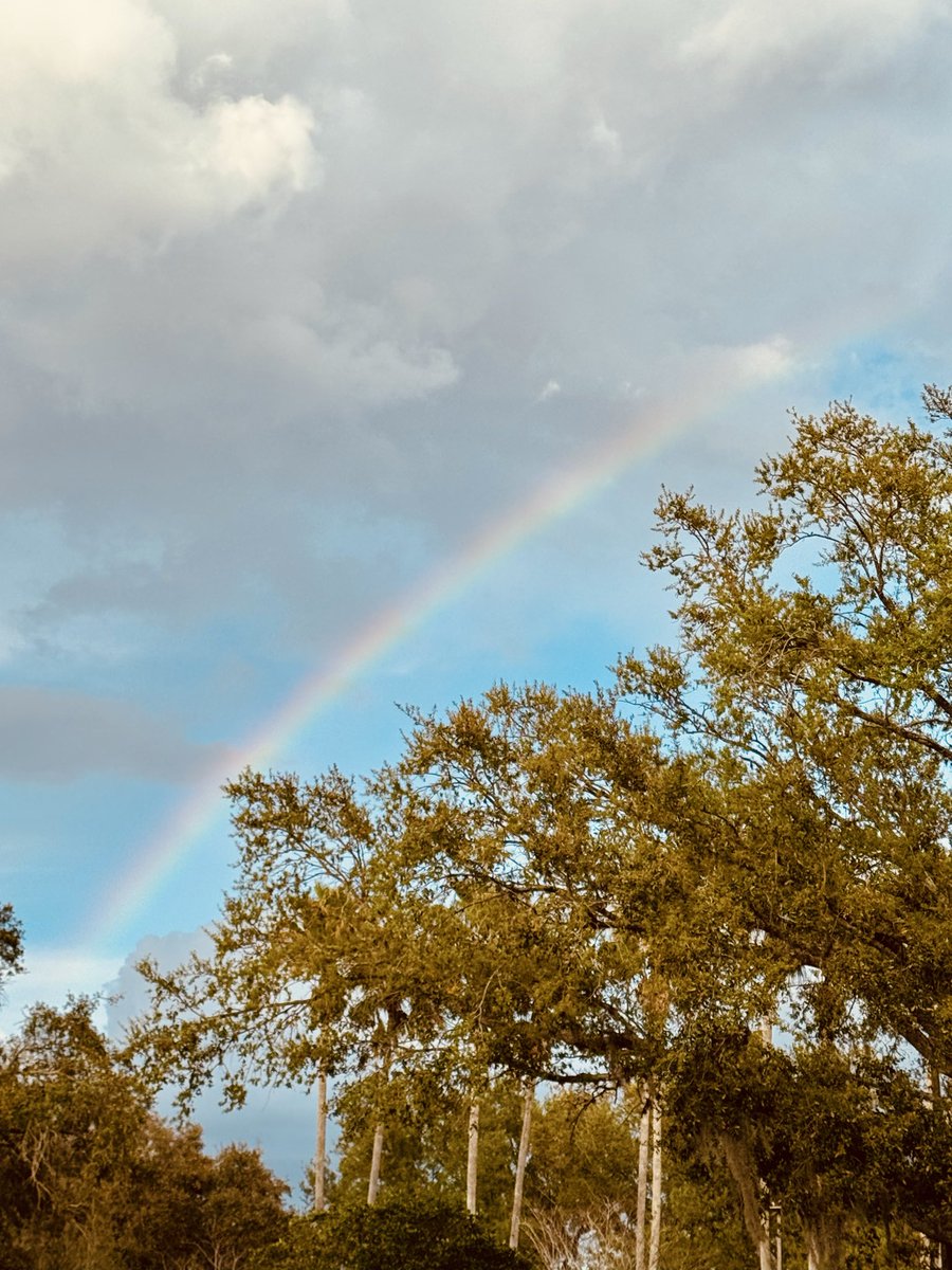 dolbyl's tweet image. Sunday vibes… #optoutside #getoutside #nature #NaturePhotography #lovefl #hikefl #hikeflorida #floridatrails #trailslikethese