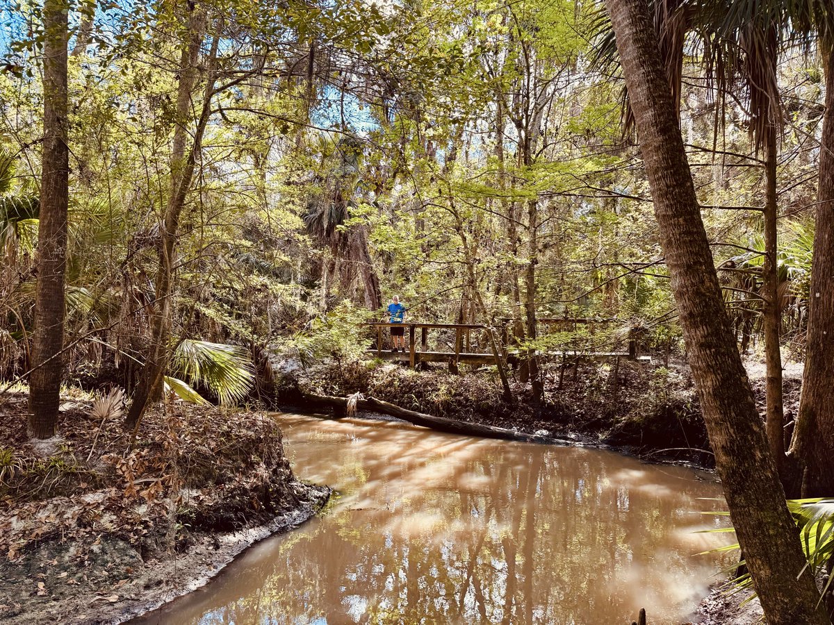dolbyl's tweet image. Sunday vibes… #optoutside #getoutside #nature #NaturePhotography #lovefl #hikefl #hikeflorida #floridatrails #trailslikethese
