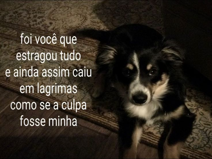 pessoascansam's tweet photo. https://t.co/zEqI9OGcUR