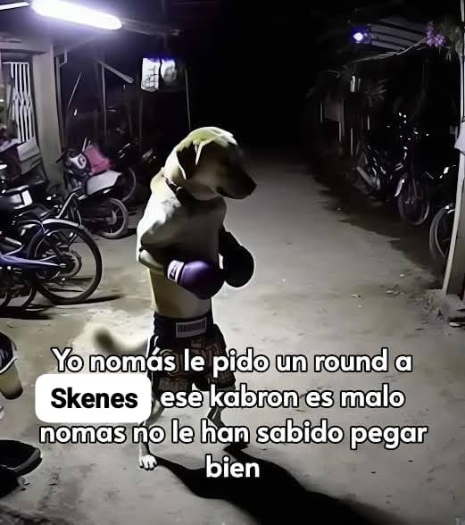 Mañana es sin miedo