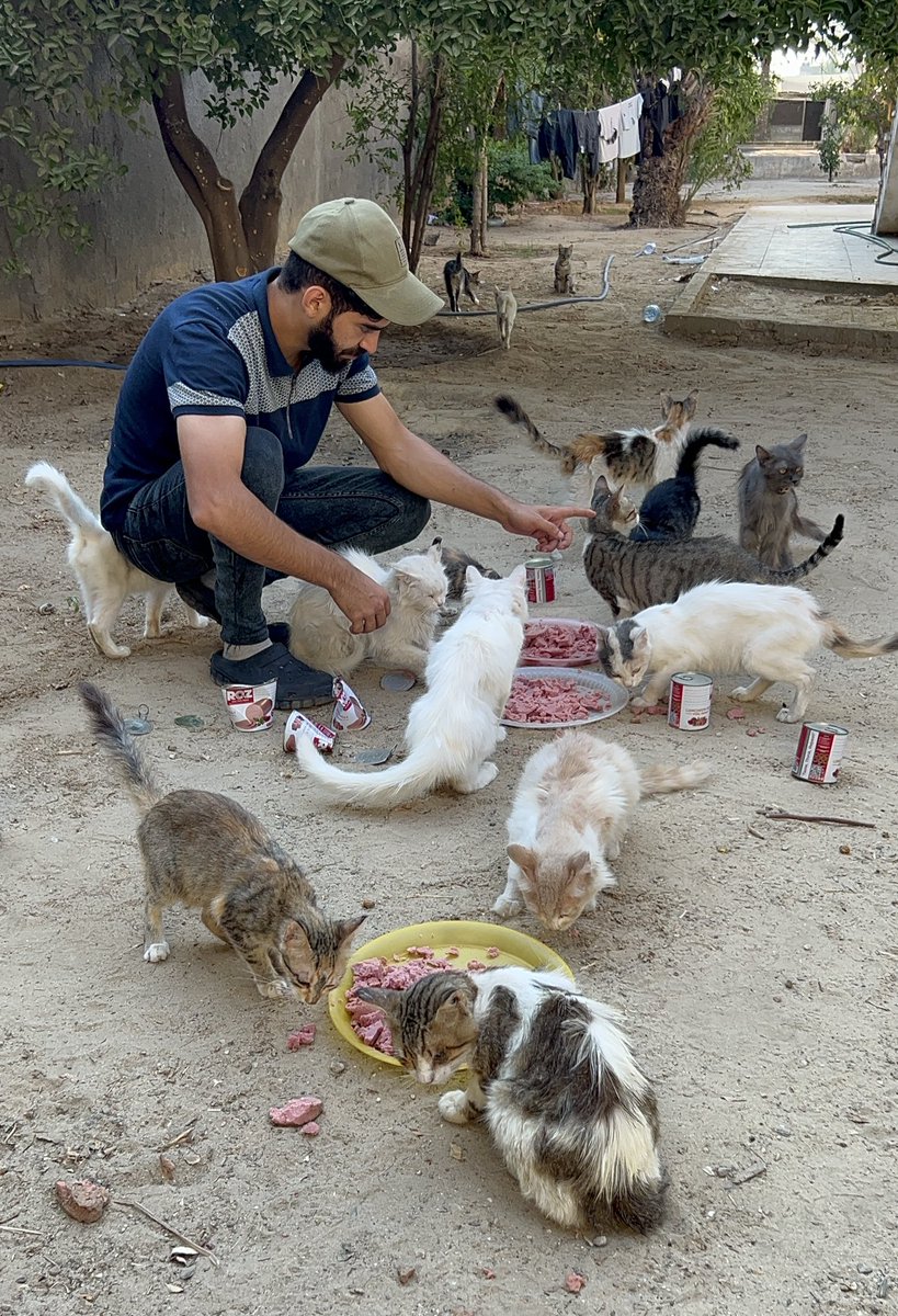 On my birthday, from the heart of war-torn Gaza💔, I celebrate another year spent rescuing innocent, voiceless lives. Amidst the rubble, I search for life to give hope to. This land has taught me that compassion is the strongest weapon for survival.May my heart grow more