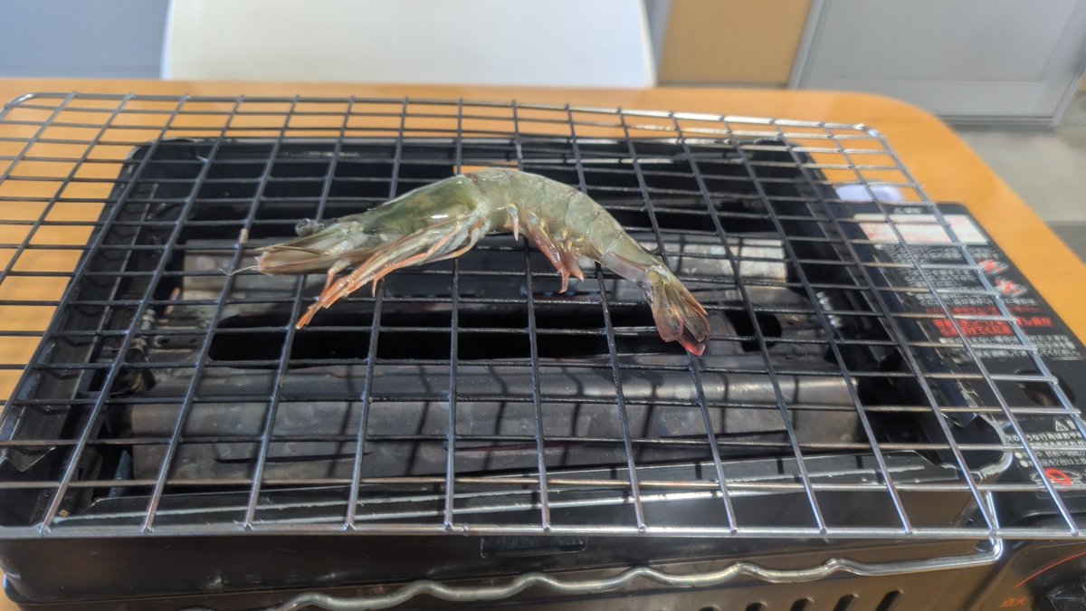 保立 馨（Kaoru Hotate） tweet media