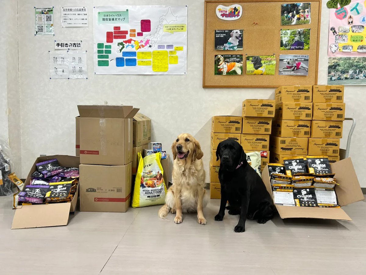 日本ライトハウス　盲導犬訓練所 tweet media