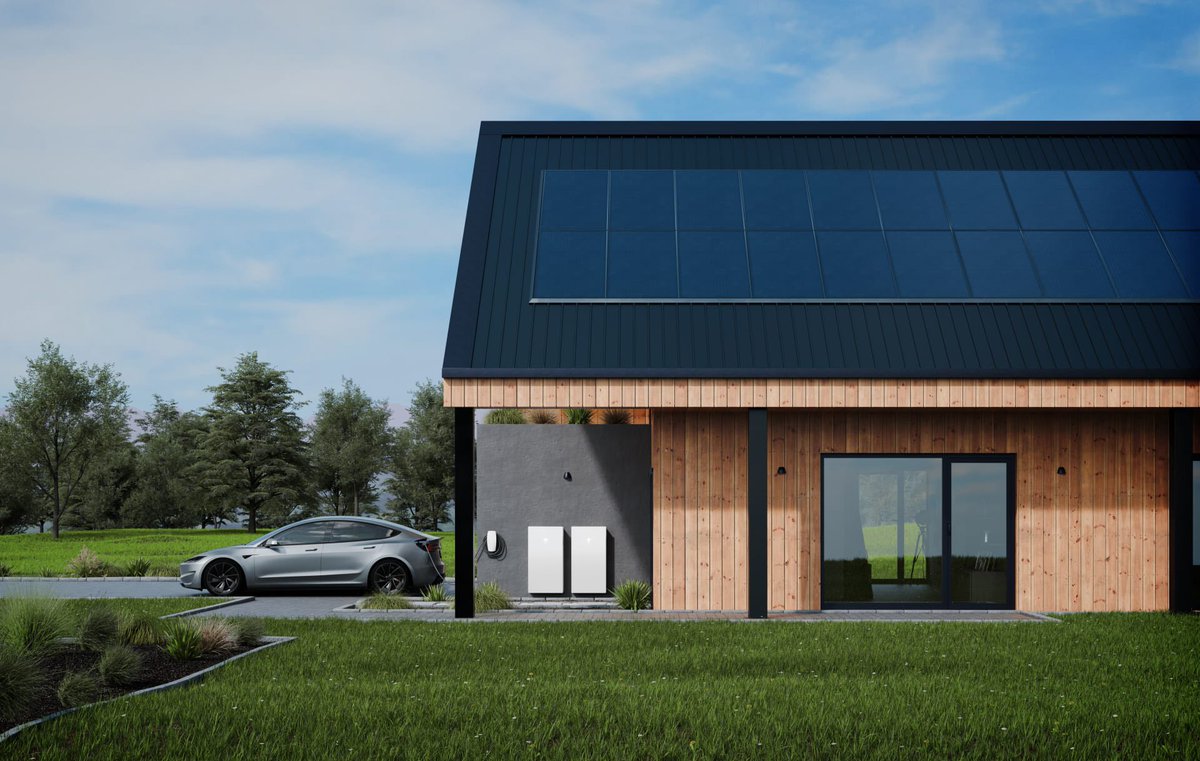 Nic Cruz Patane tweet media