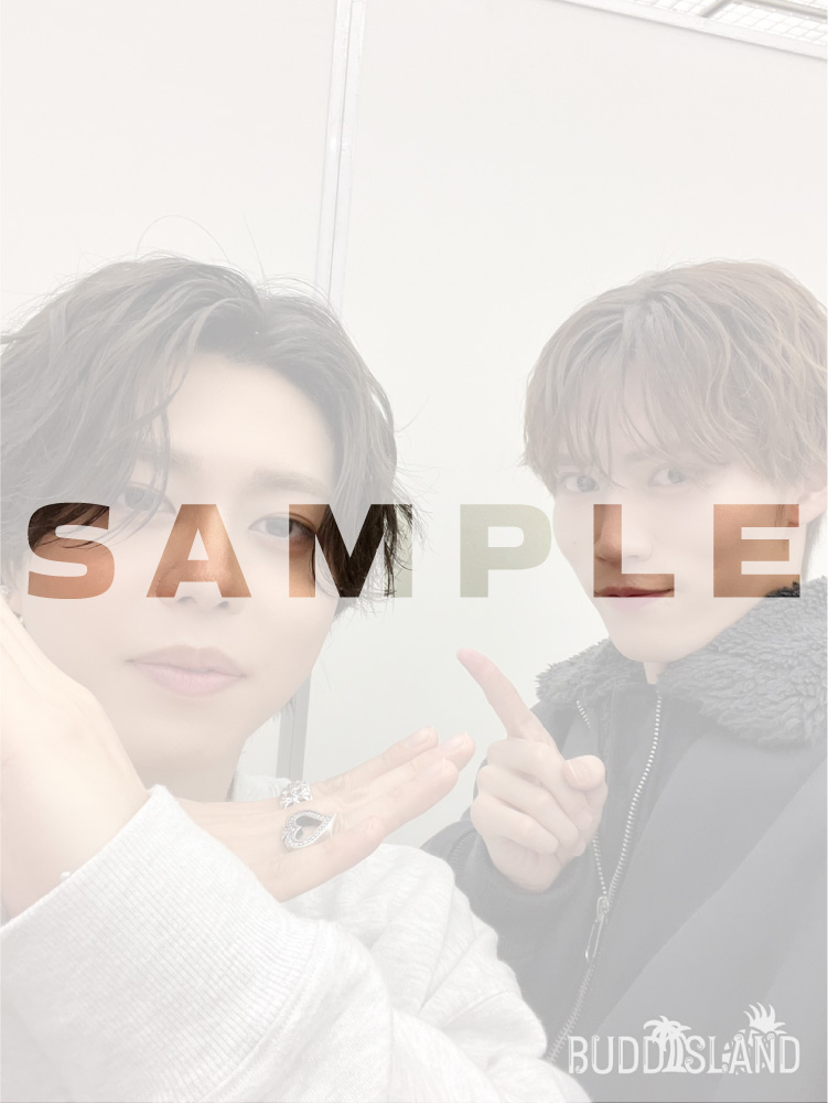 BUDDiiSLAND tweet media