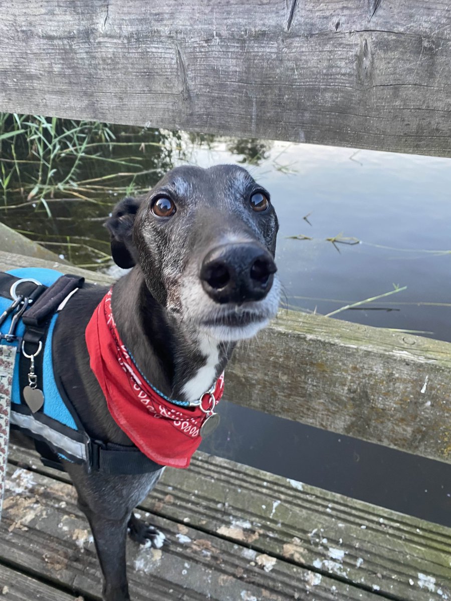 🫧Hazel!🫧 tweet media