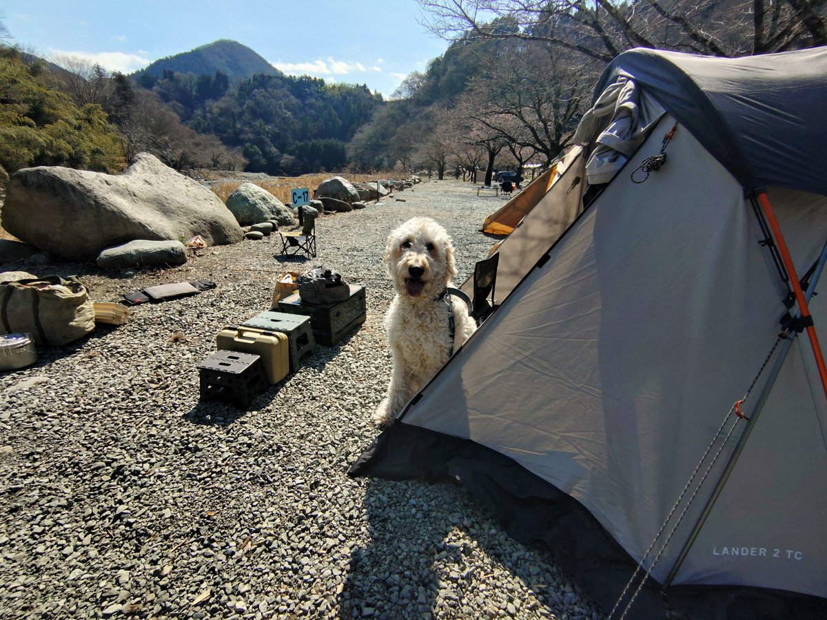 ライ太さん tweet media