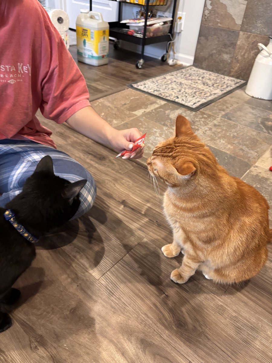 Stephen Morgan tweet media