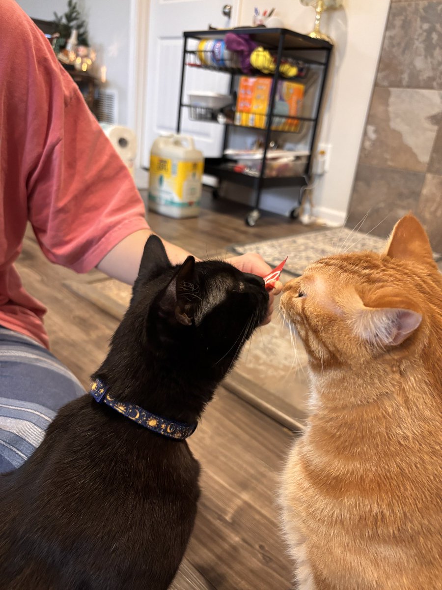 Stephen Morgan tweet media