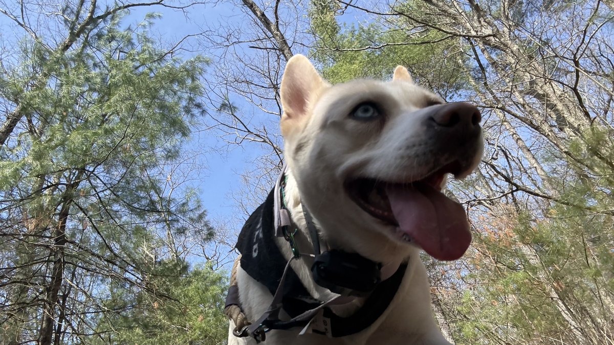 Paige 👌🏻 tweet media