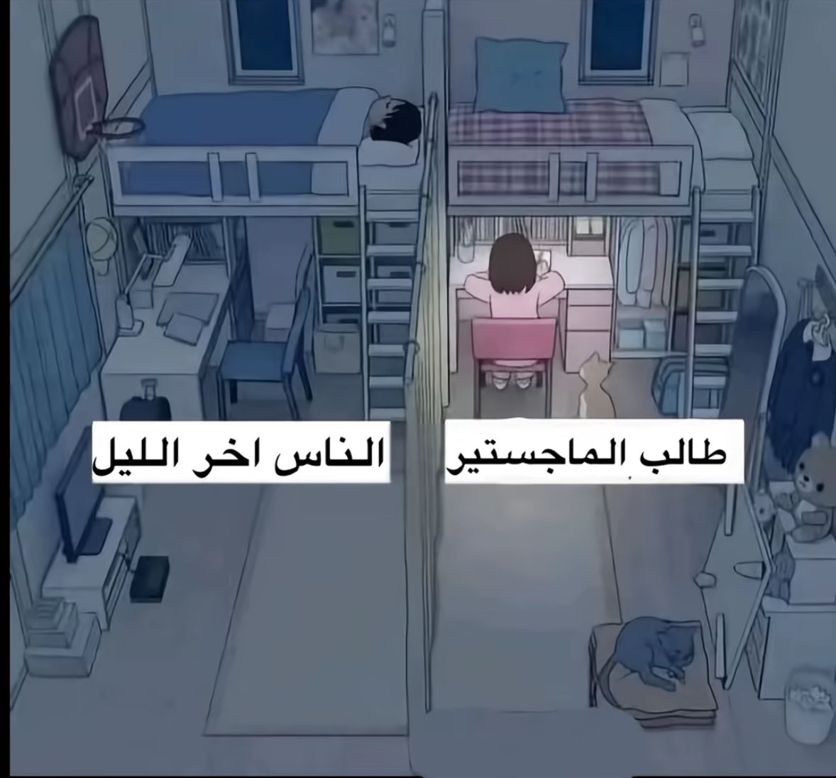 أ. سحر الهذلي tweet media