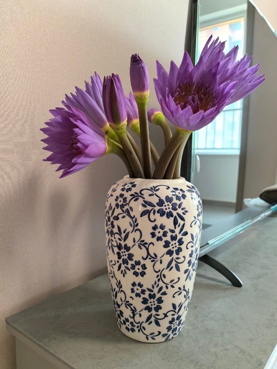 byowy9's tweet photo. お気に入りの花や植物を整理しましょう https://t.co/gg944qCdDR