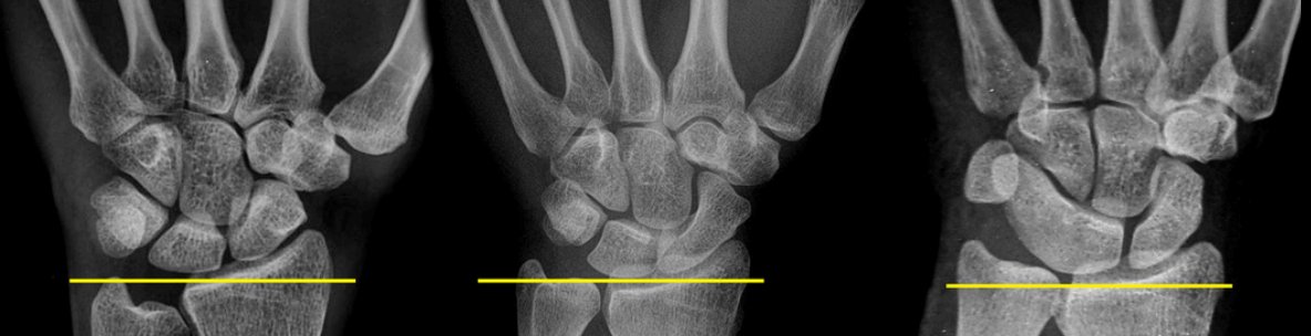 Hassler S. Macías-Sánchez tweet media