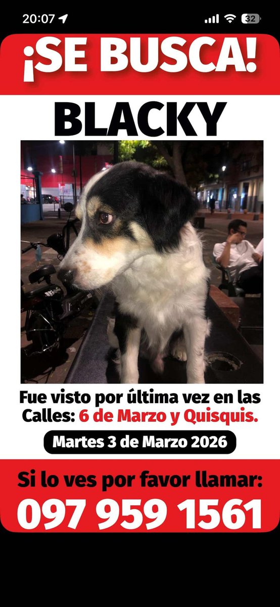 EmergenciasEc's tweet photo. #PerritoPerdido
Ayuden a compartir por favor, gracias https://t.co/tcSP2BuG7Q