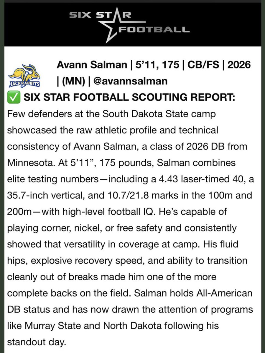 avannsalman tweet media