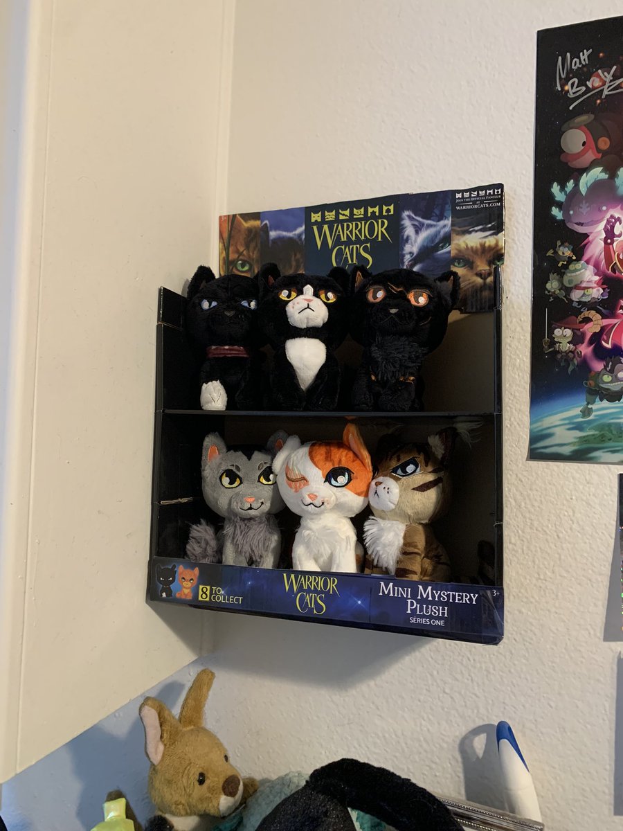 I turned the box theyre sold out of into a display shelf! :D