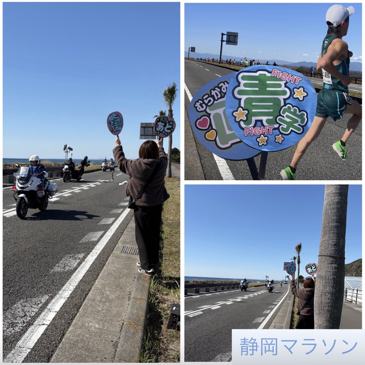 ダイナム榛原店 Since.2003.3.31 tweet media