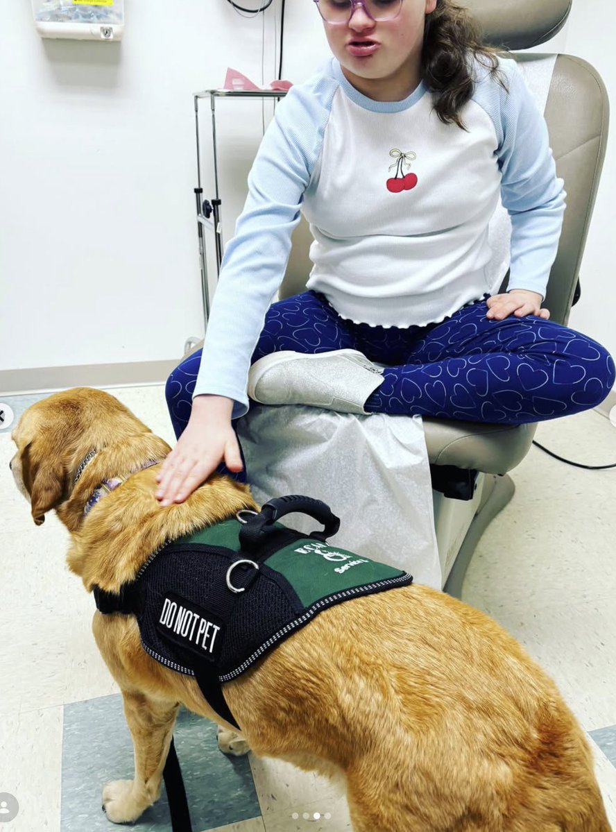 ECAD Service Dogs tweet media